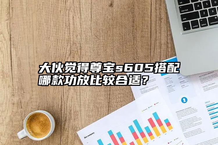 大伙觉得尊宝s605搭配哪款功放比较合适？