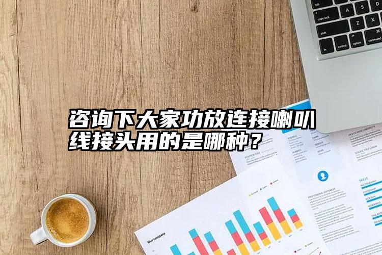 咨询下大家功放连接喇叭线接头用的是哪种？